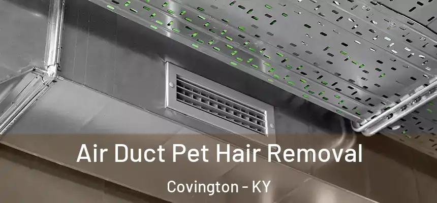 Air Duct Pet Hair Removal Covington - KY