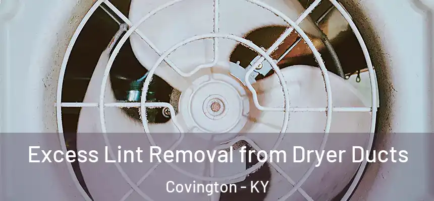 Excess Lint Removal from Dryer Ducts Covington - KY