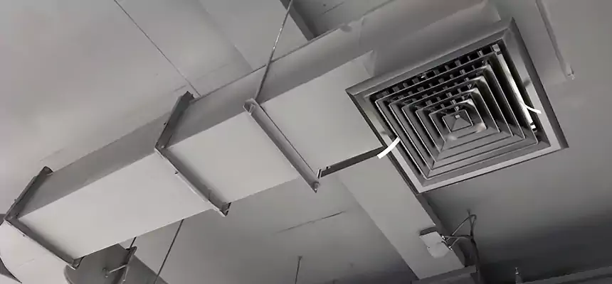 Restorative Allergy Relief Vent Cleaning – Coil, Blower & Housing Detail in Covington