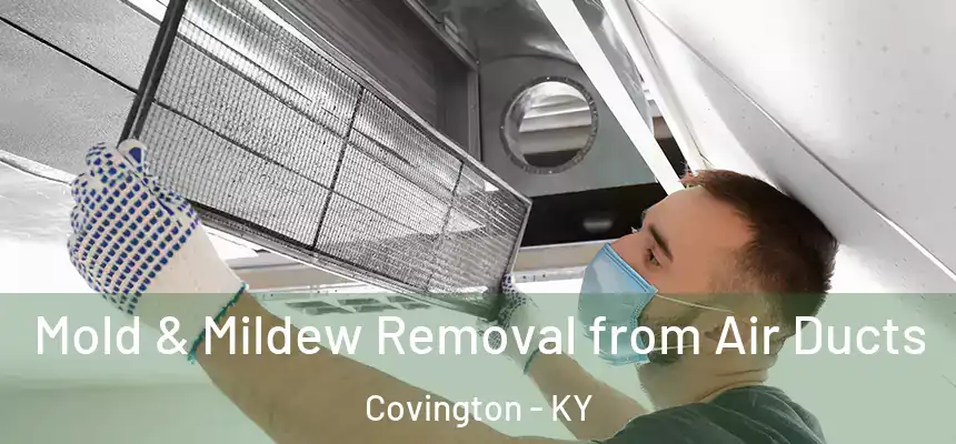 Mold & Mildew Removal from Air Ducts Covington - KY
