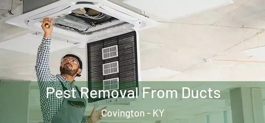 Pest Removal From Ducts Covington - KY