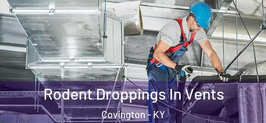  Rodent Droppings In Vents Covington - KY