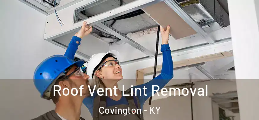 Roof Vent Lint Removal Covington - KY