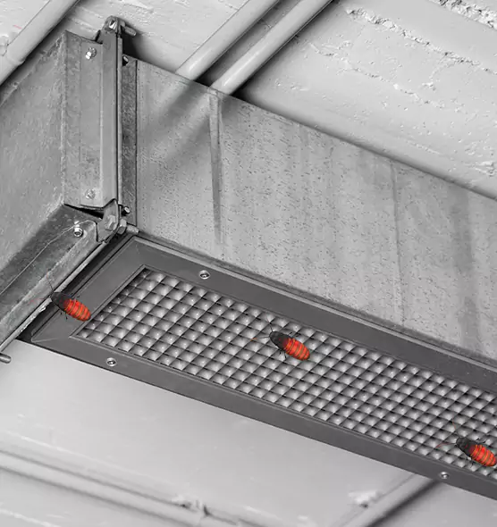About Air Duct Cockroach Removal in Covington, KY