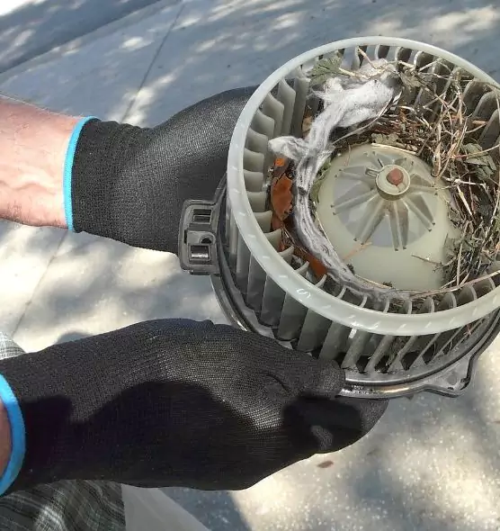 About Air Duct Mice Removal in Covington, KY