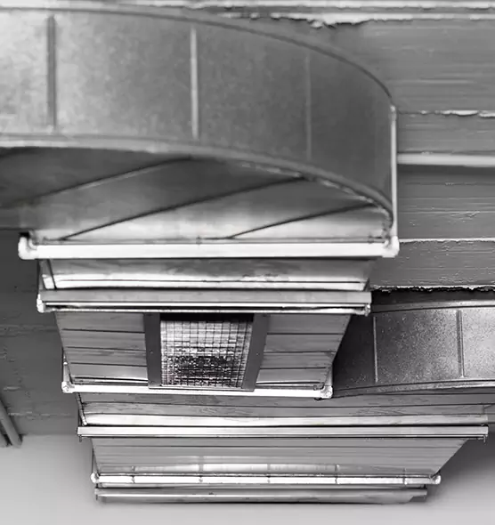 Professional Air Duct Pet Hair Removal in Covington, KY