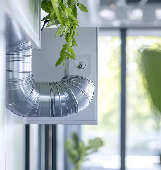 Professional Eco-Safe Dryer Vent Cleaning in Covington, KY