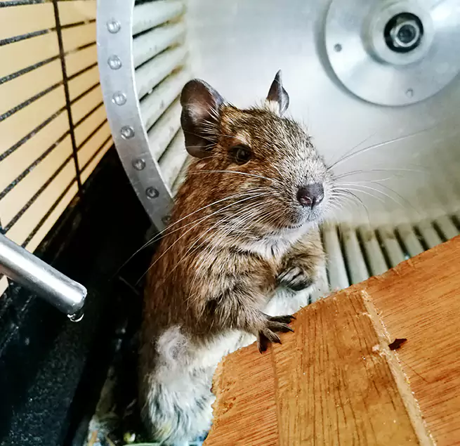 Why Homeowners & Businesses Trust Us Covington, KY