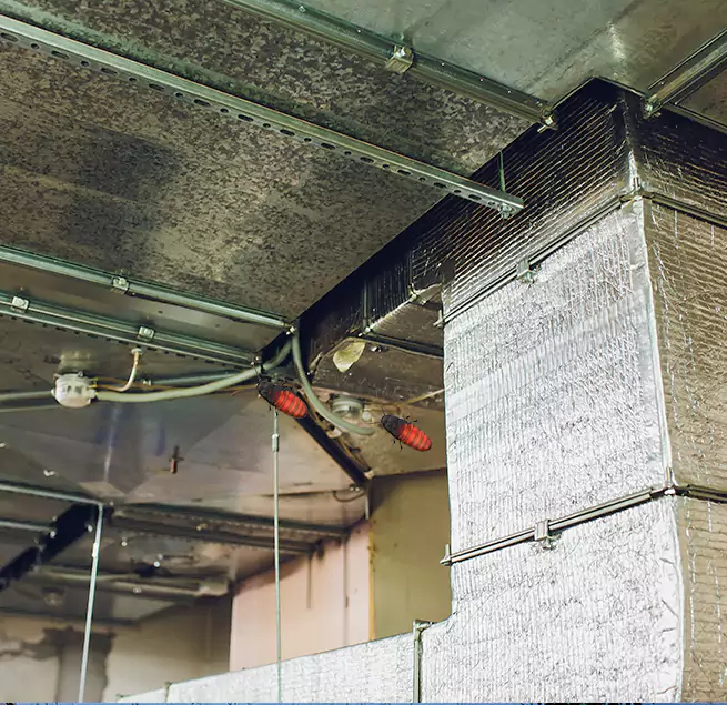 Why Homeowners & Businesses Trust Us Covington, KY?